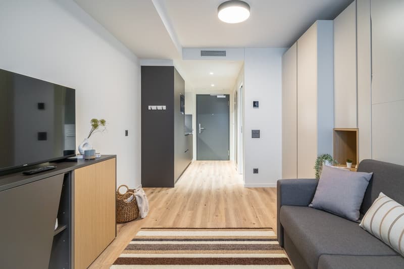 City Pop - Cosy Studio Apartments in KleinBasel (8)