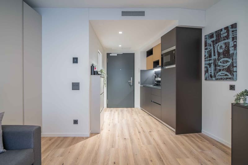 open floor plan, wooden flooring, kitchenette with built-in microwave, open cabinet, grey entrance door, living room with couch and pillow