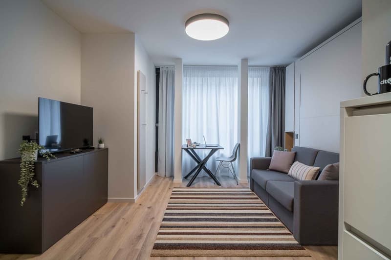 minimalist design, wooden floor, gray couch, black coffee table, TV on stand, rug