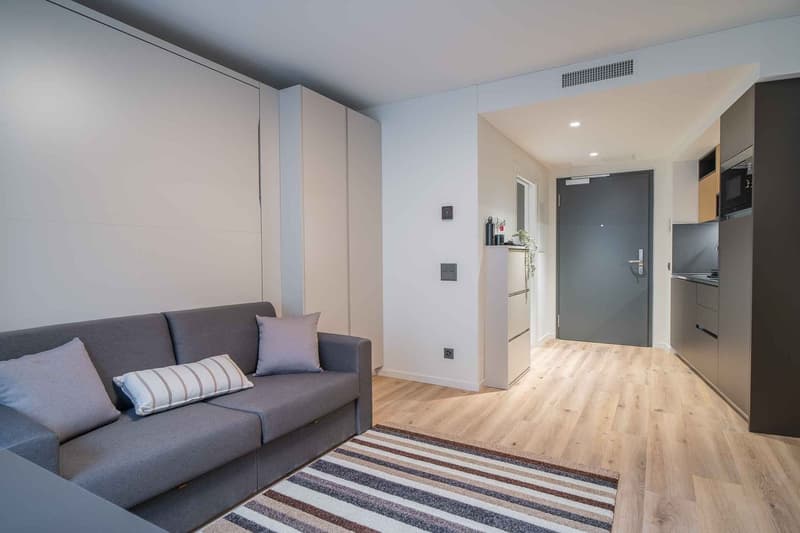 Open-concept studio apartment with hardwood flooring, gray sofa, striped rug, and built-in kitchen with dishwasher. The room has white walls and recessed lighting, and a door leading to another room or hallway.