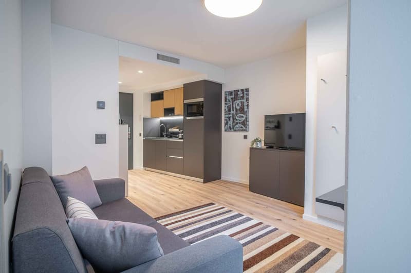 Open-concept studio apartment with hardwood floors, gray sofa, kitchen with stainless steel appliances including a dishwasher, and a TV stand.