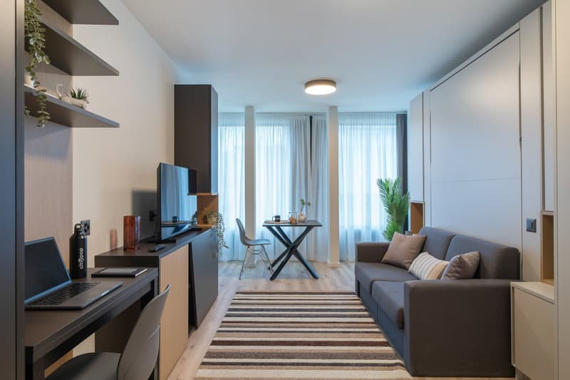 City Pop - Cosy Studio Apartments in KleinBasel (3)