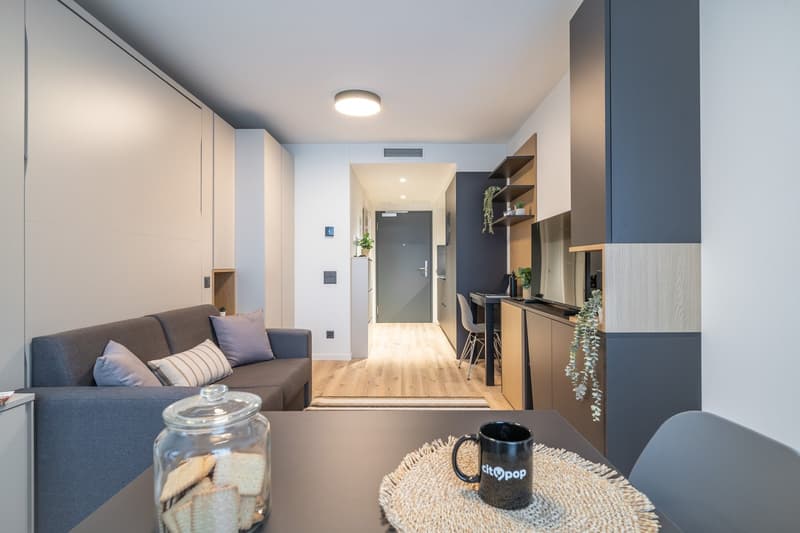 City Pop - Cosy Studio Apartments in KleinBasel (7)