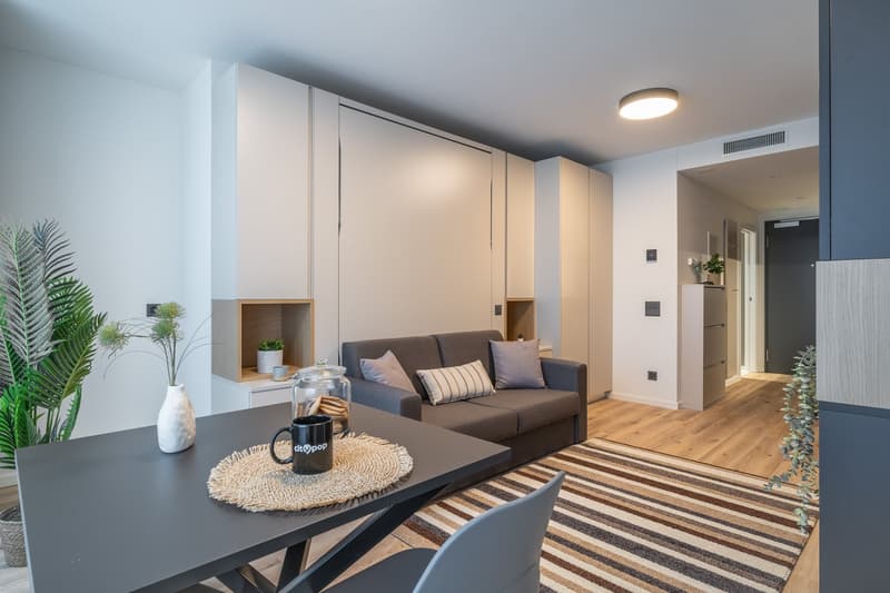 City Pop - Cosy Studio Apartments in KleinBasel (5)