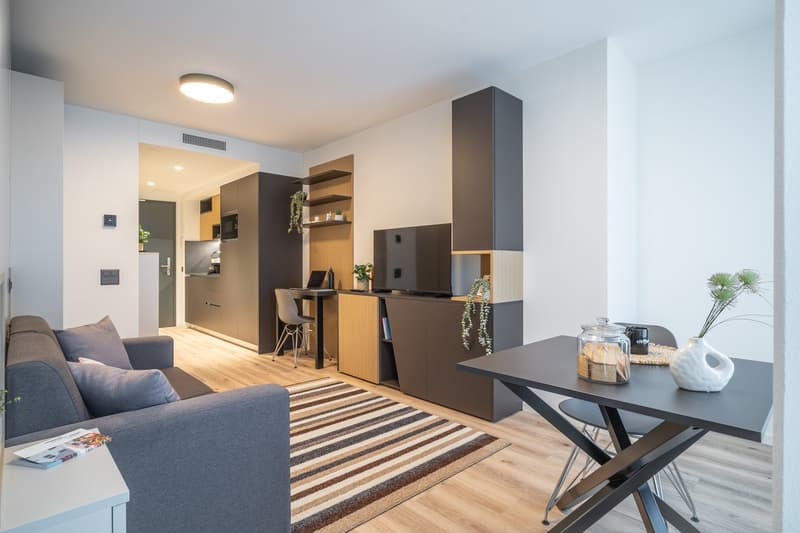 City Pop - Cosy Studio Apartments in KleinBasel (6)