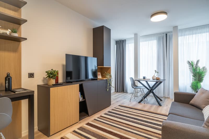 City Pop - Cosy Studio Apartments in KleinBasel (4)