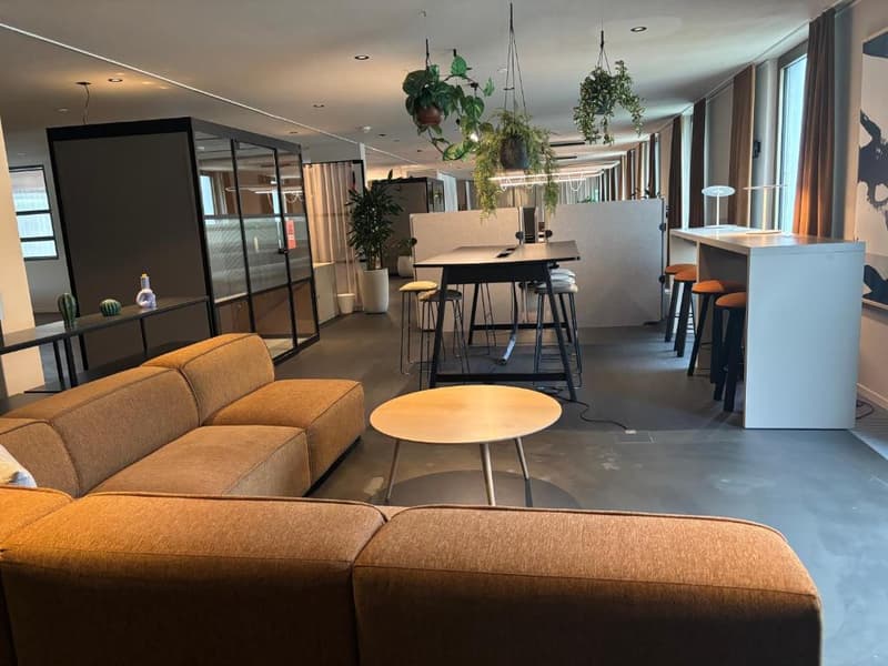 Modern Living, Calm Location – That’s 2night Basel (16)