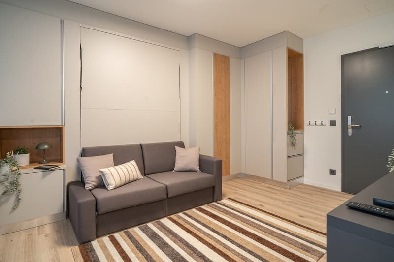 City Pop - Cosy Studio Apartments in Basel (9)
