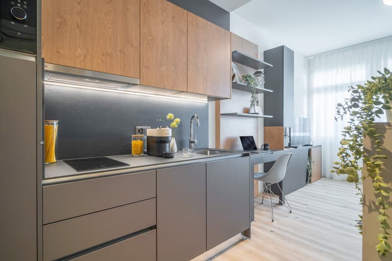 City Pop - Cosy Studio Apartments in Basel (14)
