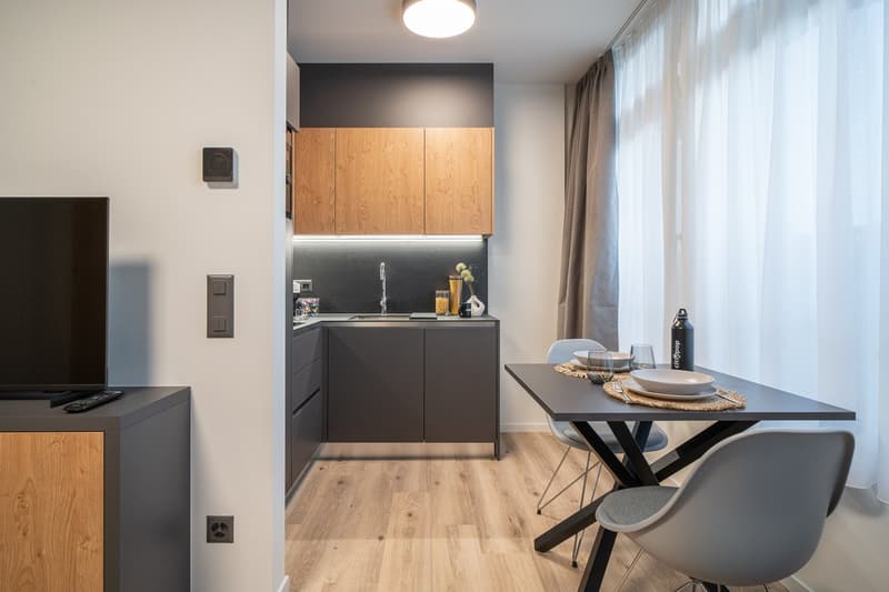 City Pop - Cosy Studio Apartments in Basel (11)
