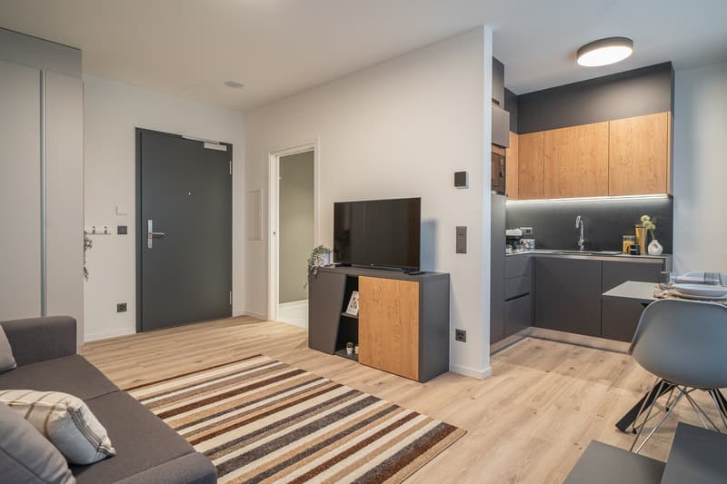 City Pop - Cosy Studio Apartments in Basel (10)