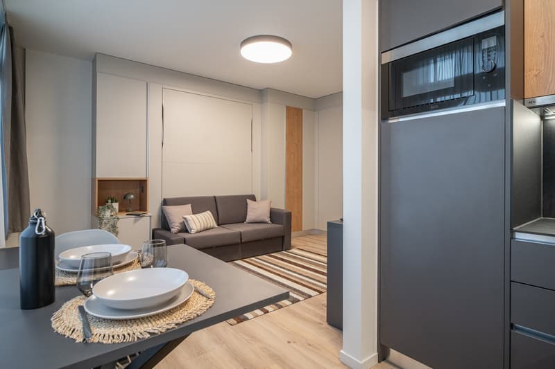 City Pop - Cosy Studio Apartments in Basel (17)