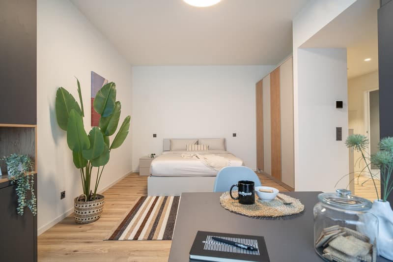 Spacious bedroom with white walls, large windows, wooden flooring, a king-size bed, and a seating area with a coffee table. The room is decorated with tropical plants and artwork, creating a cozy and relaxing atmosphere.