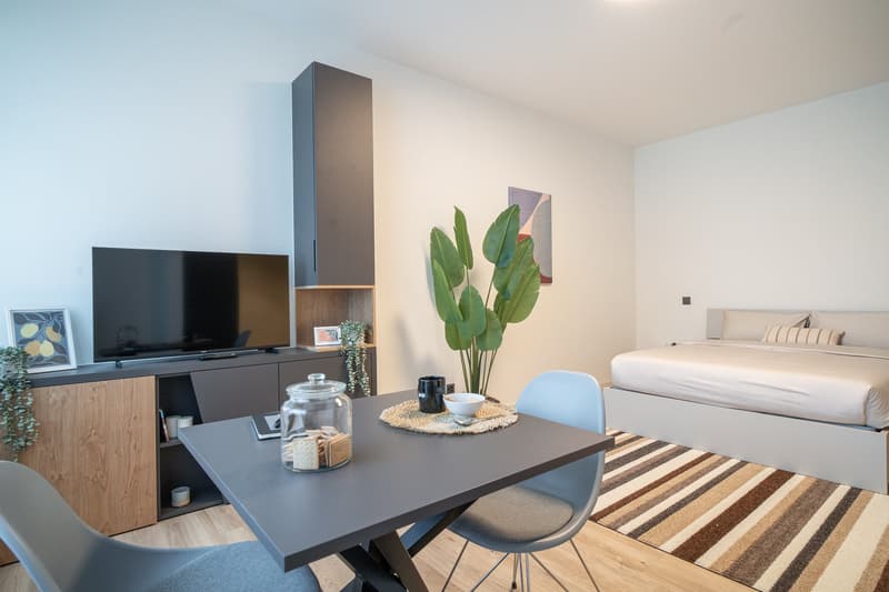 The image shows a modern and stylish studio apartment. The main living area features a TV stand with a large flat-screen TV, a dining table with two chairs, and a large potted plant. The apartment also has a bed and a washing machine visible. The overall