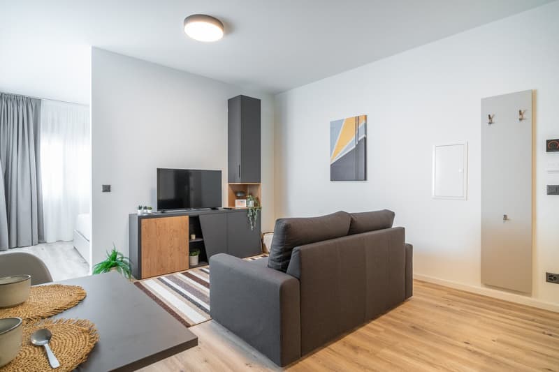 Modern living room with gray sofa, TV stand with storage, artwork on the wall, and hardwood flooring. The room has a minimalist and contemporary design.