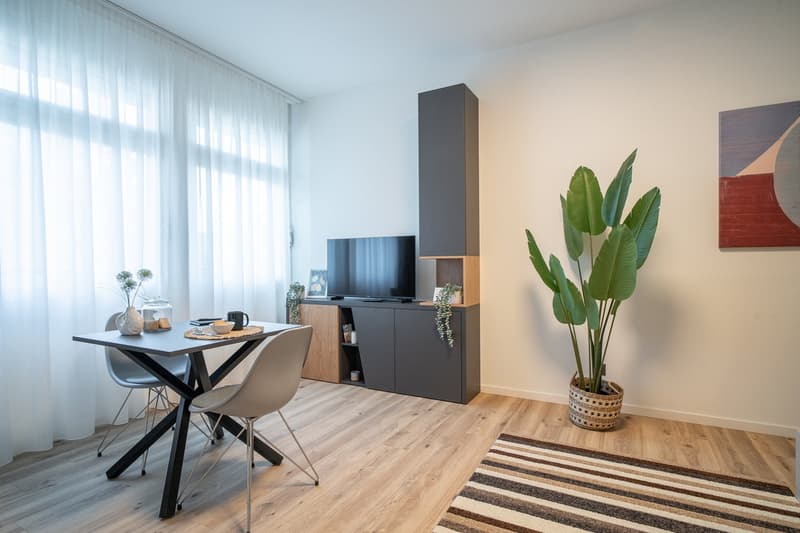 Spacious living room with large windows, hardwood floors, modern furniture including a dining table, chairs, and a TV stand with storage. The room also features a large potted plant, adding a touch of greenery to the space.