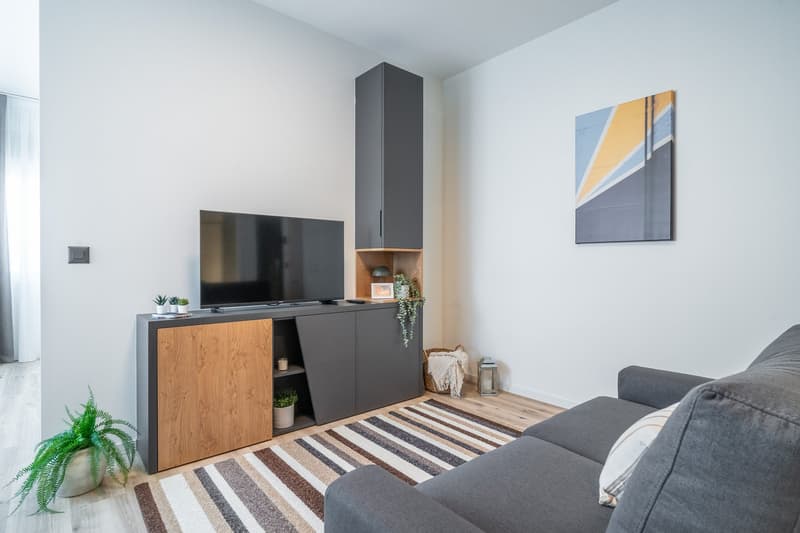City Pop - Studio Apartments in Basel, next to the train station (2)