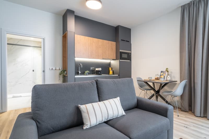 City Pop - Studio Apartments in Basel, next to the train station (3)