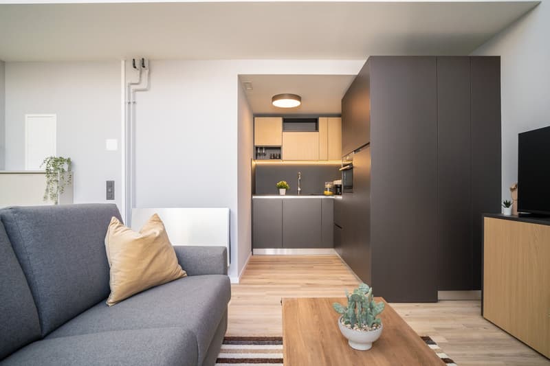 Open-concept studio apartment with a living room area, kitchen, and bedroom. The living room has a gray sofa with a decorative pillow. The kitchen features dark gray cabinets and a built-in dishwasher. The apartment has hardwood-style flooring throughout.