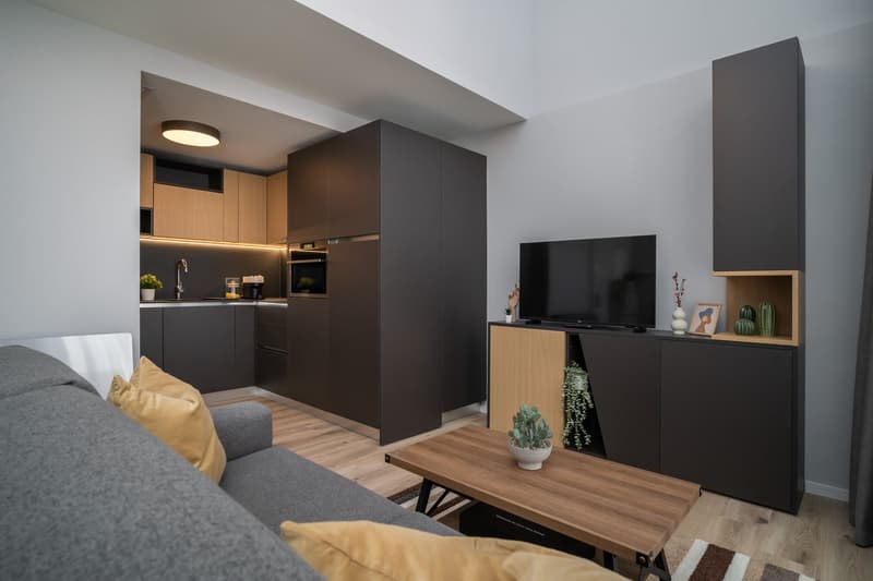 Open-concept studio apartment with modern kitchen, living area, and entertainment unit. The kitchen features dark cabinets and appliances, including a dishwasher. The living area has a gray sofa and a wooden coffee table. The entertainment unit has a TV a