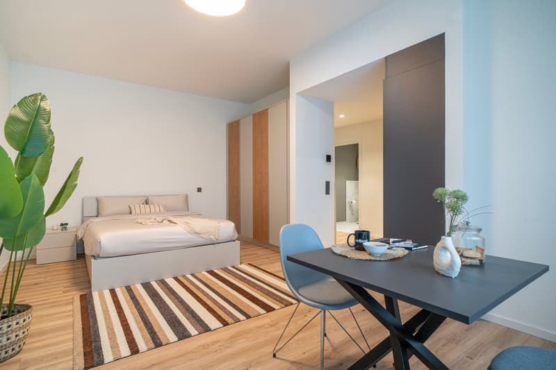 City Pop - Studio Apartments in Basel, next to the train station (17)