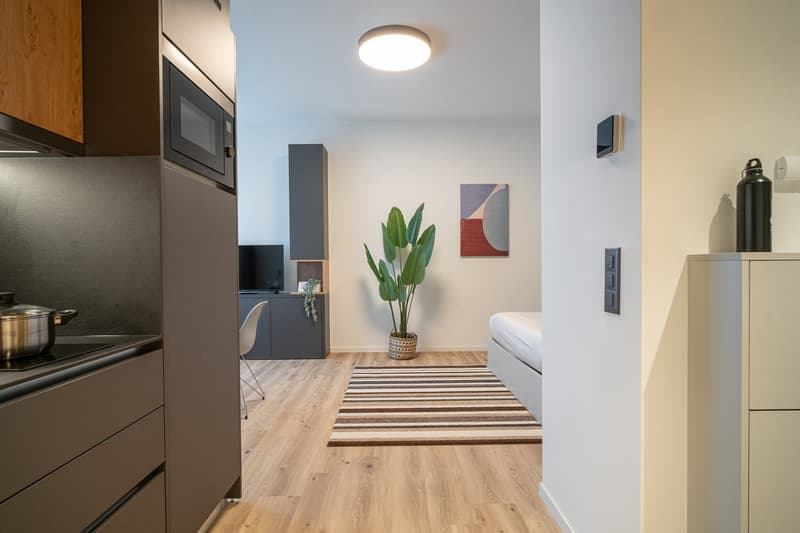 City Pop - Studio Apartments in Basel, next to the train station (13)