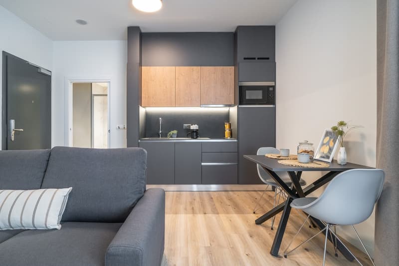 City Pop - Studio Apartments in Basel, next to the train station (5)