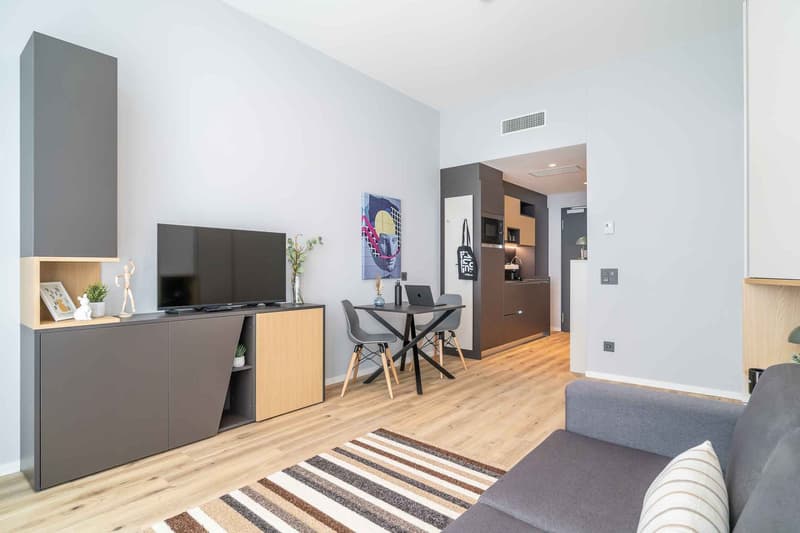 modern living room with a sofa, tv cabinet, a table with chairs, and a rug