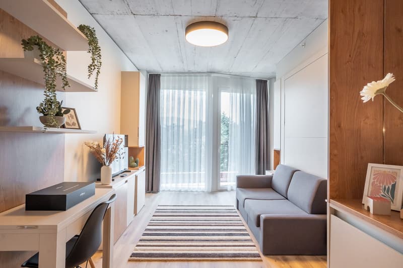 Spacious living room with large windows, gray sofa, wooden shelving unit, potted plants, and a striped area rug. The room has a modern, minimalist design with a concrete-style ceiling and wooden accents.