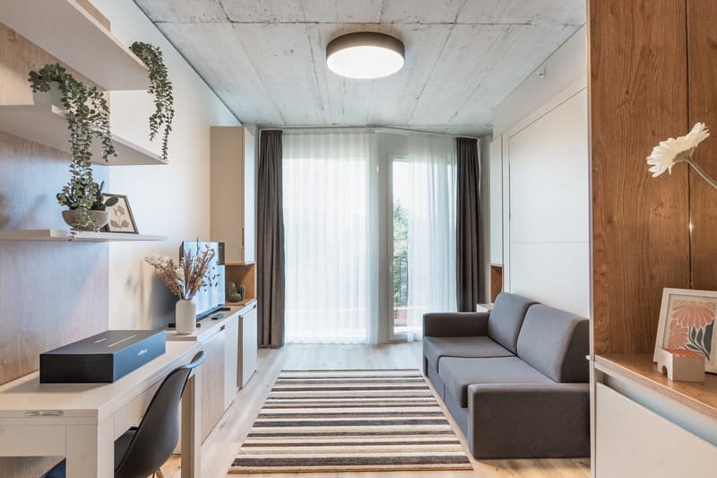Spacious living room with concrete ceiling, large windows, gray sofa, striped rug, shelving unit with decor, and potted plants.