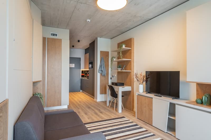 Open-concept studio apartment with concrete ceiling, wood and white accents, sofa, TV stand, desk, shelving, and a kitchenette with a dishwasher visible.