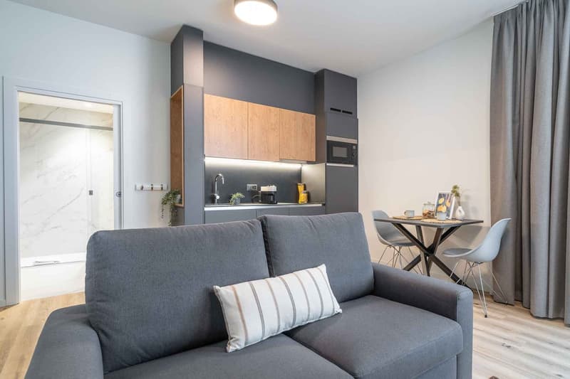 NEW BUILDING in Schaffhausen - Stylish furnished apartments (7)