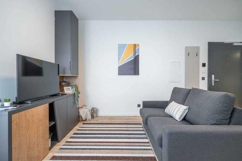 NEW BUILDING in Schaffhausen - Stylish furnished apartments (2)