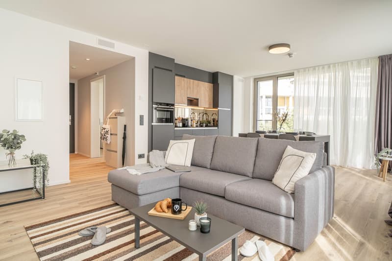 One-bedroom apartment in the heart of Zurich (2)