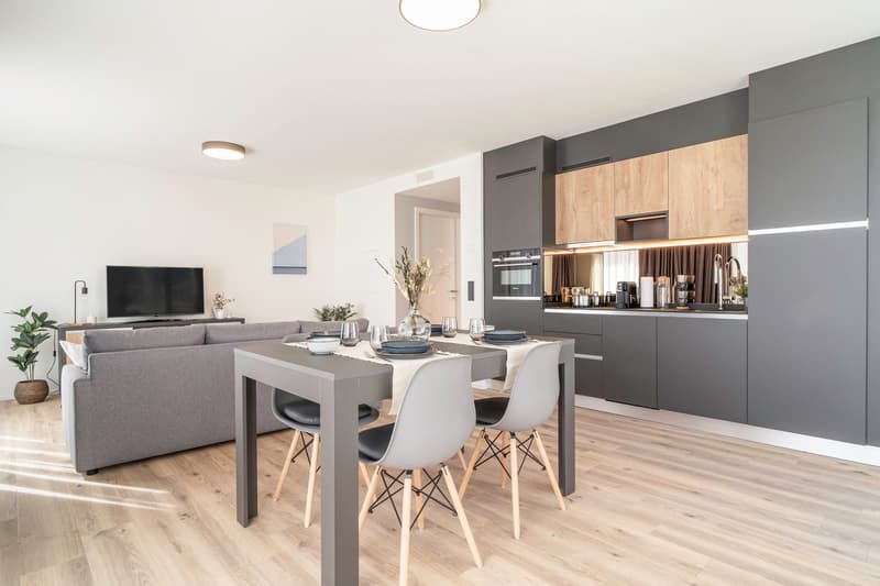 One-bedroom apartment in the heart of Zurich (1)