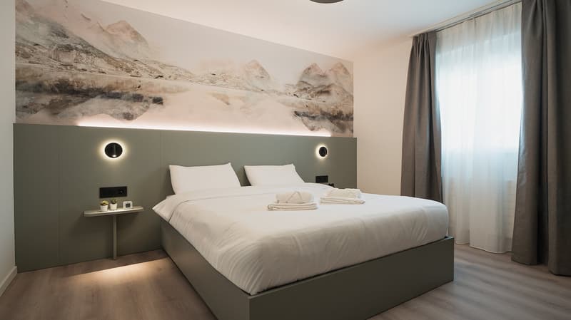 Stylish Pop-room in Schaffhausen - no kitchen (5)