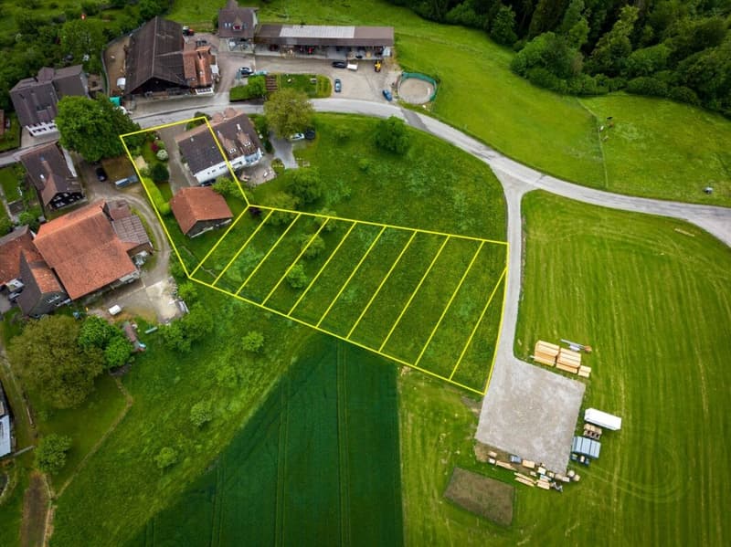 Land with potential (1)