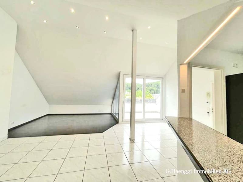 Badisch-Rheinfelden : APPARTEMENT MAISONETTE DE 4 1/2 PIÈCES DE HAUTE QUALITÉ (7)