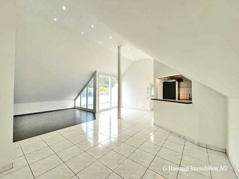 Badisch-Rheinfelden : APPARTEMENT MAISONETTE DE 4 1/2 PIÈCES DE HAUTE QUALITÉ (6)