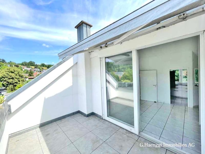 Badisch-Rheinfelden : APPARTEMENT MAISONETTE DE 4 1/2 PIÈCES DE HAUTE QUALITÉ (4)