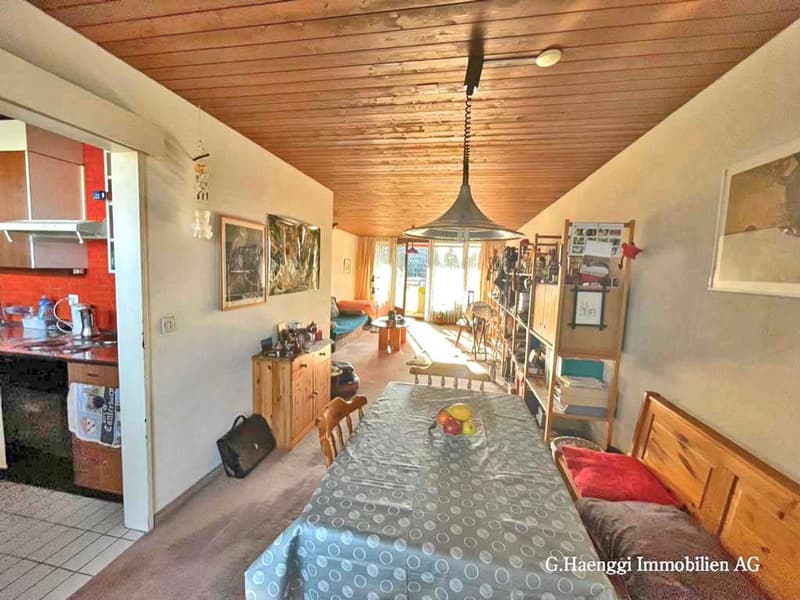 Bright 3 1/2 room apartment with two large balconies (8)