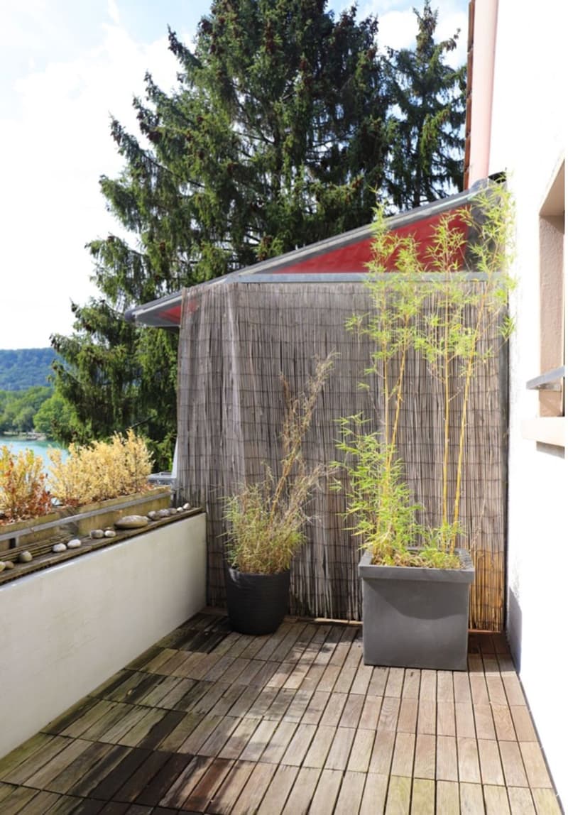 Quiet 3.5 room apartment directly on the Rhine (4)