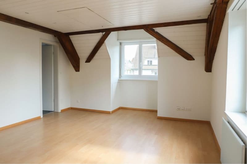 Quiet 3.5 room apartment directly on the Rhine (10)