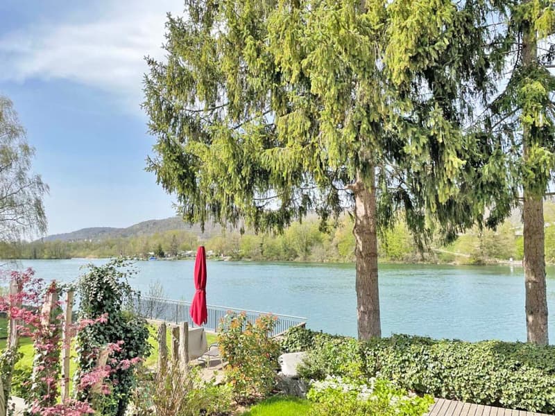 Quiet 3.5 room apartment directly on the Rhine (1)