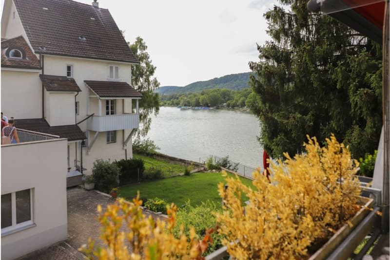 Quiet 3.5 room apartment directly on the Rhine (3)