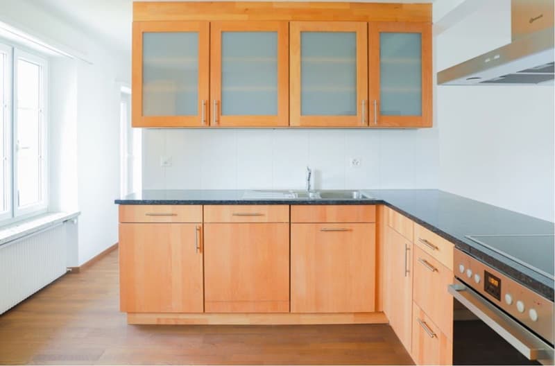 Quiet 3.5 room apartment directly on the Rhine (6)