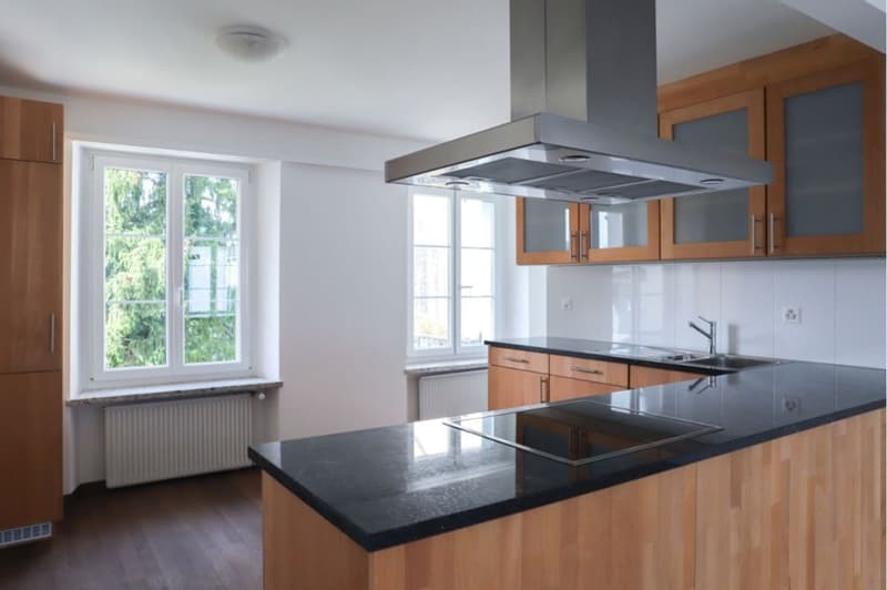Quiet 3.5 room apartment directly on the Rhine (5)