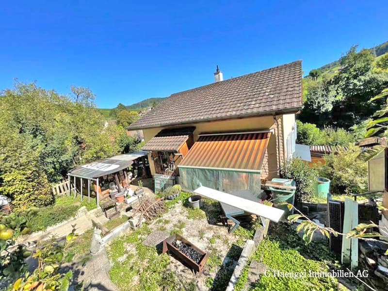 5.5 Zimmer EFH mit Potential am Waldrand (4)