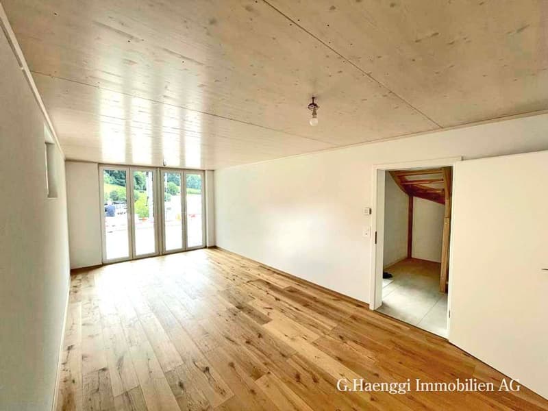 Neue, grosszügige 5 bis 7.5-Zi-EFH mit weiter Aussicht in Läufelfingen (13)