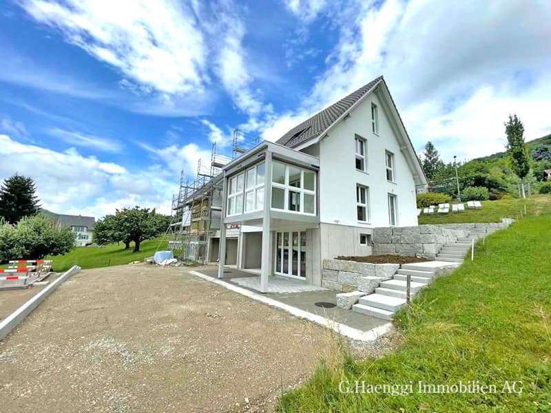 Neue, grosszügige 5 bis 7.5-Zi-EFH mit weiter Aussicht in Läufelfingen (1)